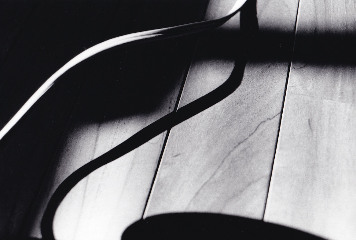 田口蓮華 - 金丸真株式会社