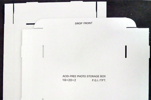 CIMG1107.jpg-1
