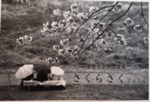 sakura