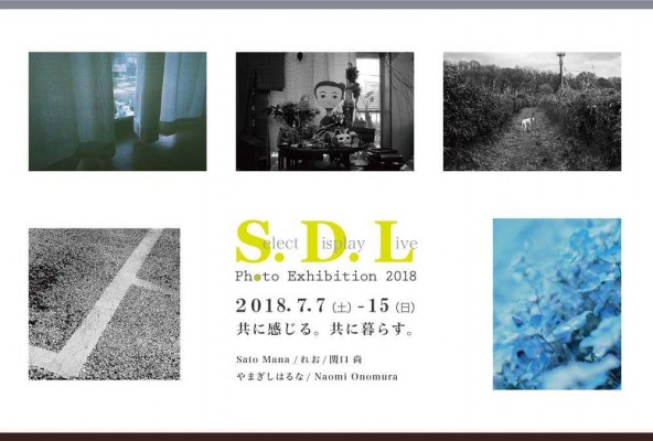 SDL2018